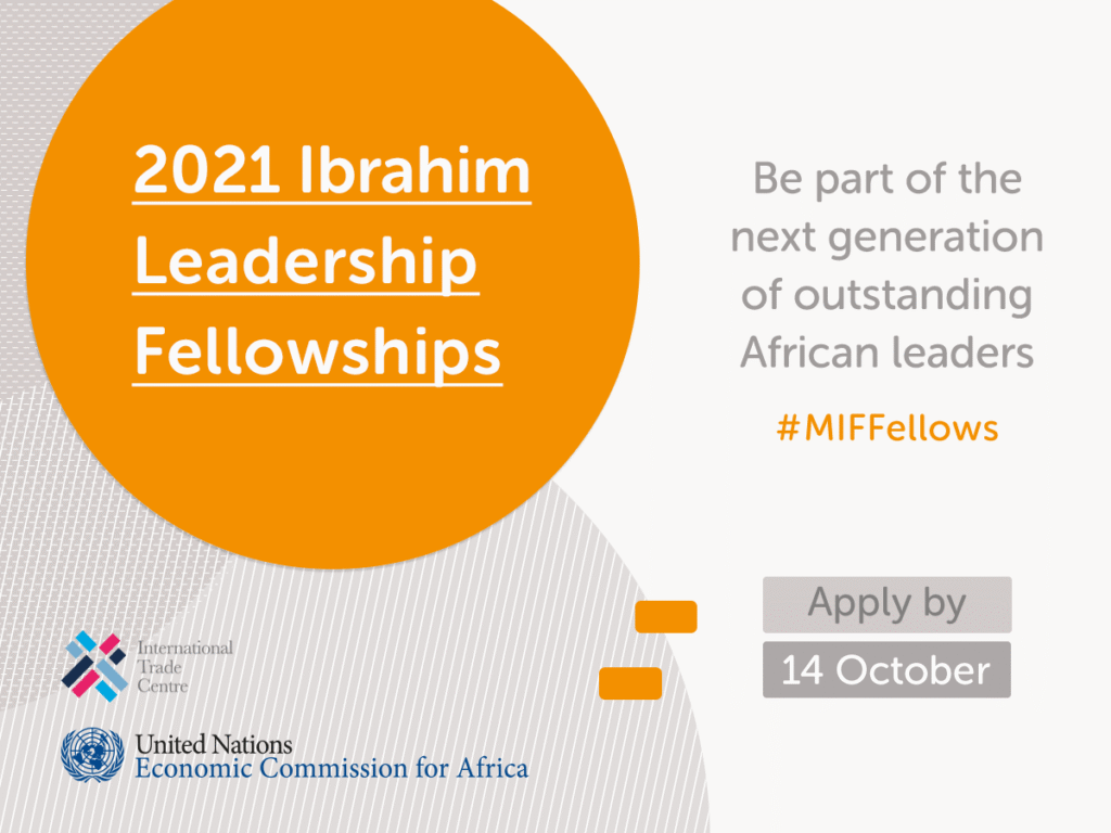 2021 Mo Ibrahim Foundation Leadership Fellowships