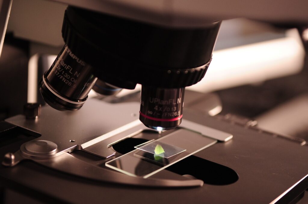 An image used to illustrate the article (Photo Credit: Pixabay) - National Scholarship Programme