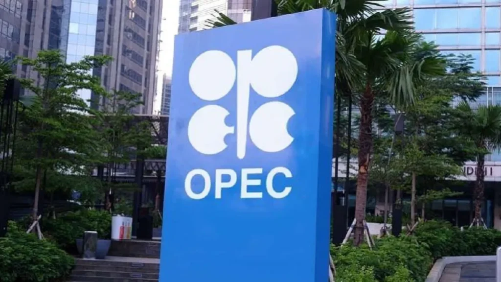 OPEC Fund Young Professional Development Program