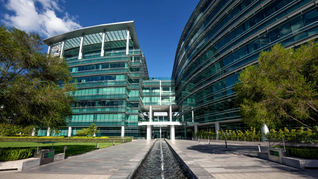 McKinsey Business Analyst